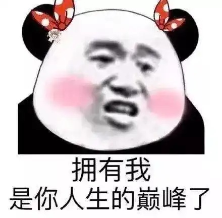 表情包拥有我是你人生的巅峰了

