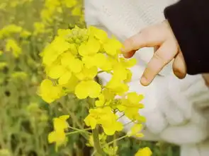 春日去哪溜达搭帐篷放风筝赏花海,湘湖才是溜娃好去处