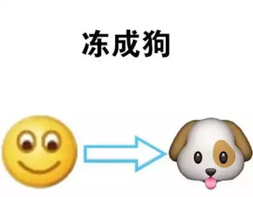 零下6度蒙城终于要下雪了
