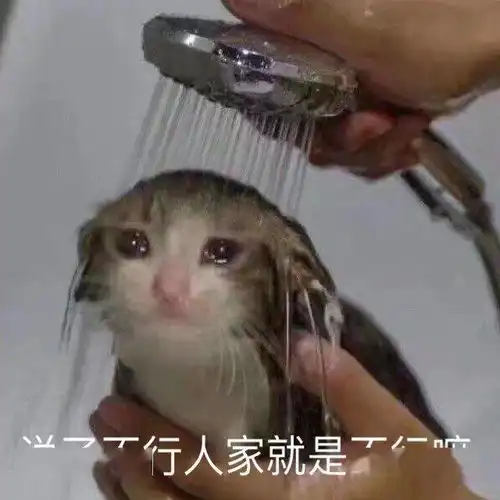 黑芝麻丸,还要骗我们多久