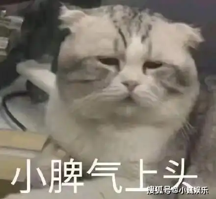 专爱富商多次插足婚姻,人到中年却偏爱年轻帅哥57岁关之琳被鲜肉环绕传恋情
