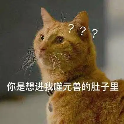 漫威世界的吉祥物,小格鲁特太可爱了吧,网友这只猫不算吧
