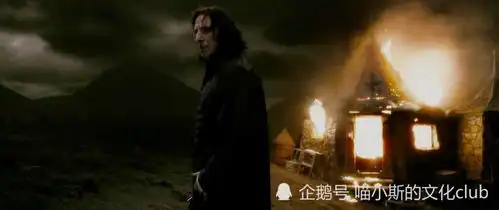 哈利波特倒霉的斯内普,总是被哈利偷袭成功
