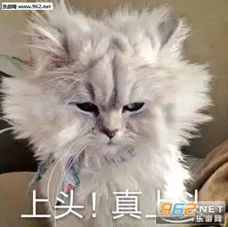 上头真上头表情包少女心砰砰砰表情包图片下载乐游网游戏下载
