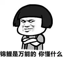 天天转锦鲤表情包无水印版
