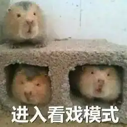 京城第一名媛赵欣瑜开撕周迅旗下新人李蔓瑄,掀起两代人恩怨
