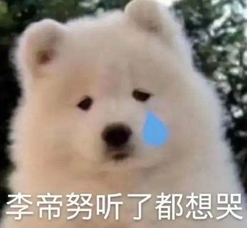 把当up主的荣誉周报发到了论文讨论群里
