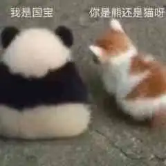 空白779的地宝
