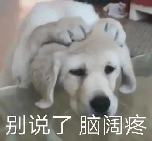 靠学生要到了帅哥小奶狗的微信酸了...
