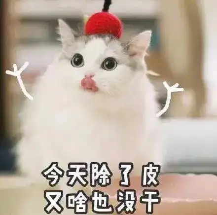 邢台县2019中国农民丰收节暨第四届酸枣文化节来了
