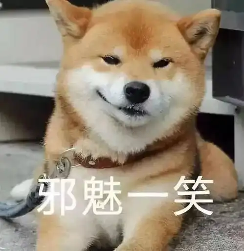日本土狗柴犬,为什么能成为我们表情包里不可或缺的存在
