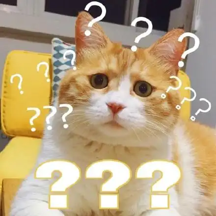 猫咪表情包合集你都没有胸,凶什么凶
