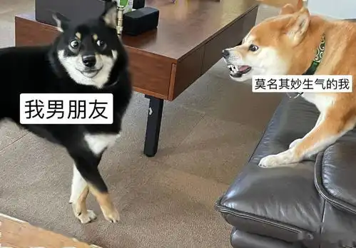 你头像太不正经了,赶紧给我换了妈妈又逼着我换头像
