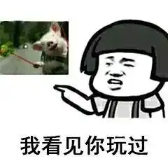 司机抱着狗狗开车,这波操作让人看得心慌
