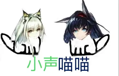 表情包沙雕图,趣图,美图等
