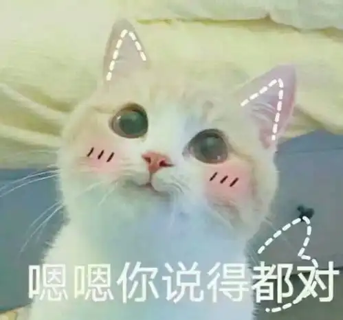 漫长的寒假,我来陪你度过
