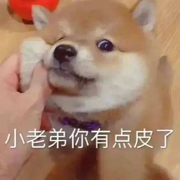 沙雕斗图表情包有本事你打我嘛
