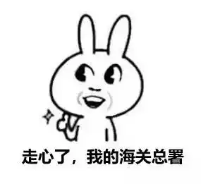 那些被海关扣下的包包化妆品,都去了哪里网友太过分
