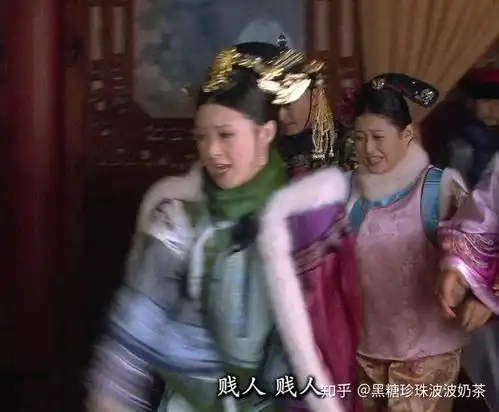 甄嬛传在b站有什么特别有趣的梗

