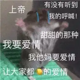 这届不搞男人的单身中年少女,到底为什么活得那么快乐
