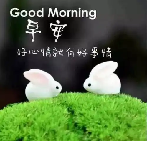 周末温暖人心的早上好图片清晨祝福语大全表情
