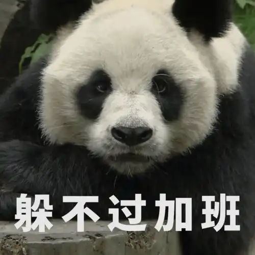 福利放送全套大熊猫表情包收好不谢
