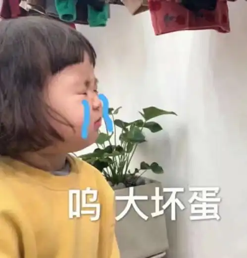 为什么会有人说情侣之间女生发表情包会有损气质
