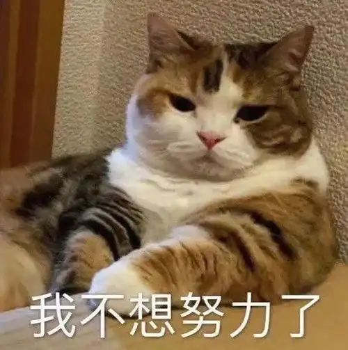 抖音热门表情包我曾经也是别人的宝贝啊