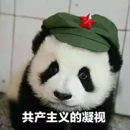 地球上有个群体,他们受着熏陶,有着只为他的主播哈哈这个群体叫桃粉
