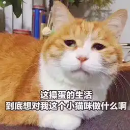 如何看待最近易烊千玺粉丝与鹿晗粉丝因宣传图相似而互撕
