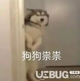 抖音上狗狗祟祟带字表情包图片汇总大全
