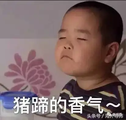 决定我前往哪个国家留学的不是教育质量,而是肥胖指数
