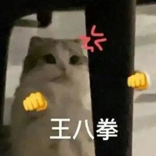 好了闭嘴丨第814期喵表情包
