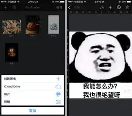 收藏最全的表情包制作教程,微信聊天你最棒有用功
