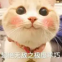 乖巧表情包

