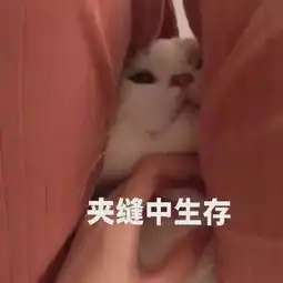 结婚前被准未婚妻绿了是我没脾气还是心态好
