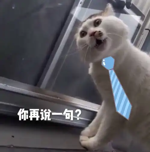 什么样的房产中介,是值得信任的

