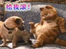 兄弟,别冲动
