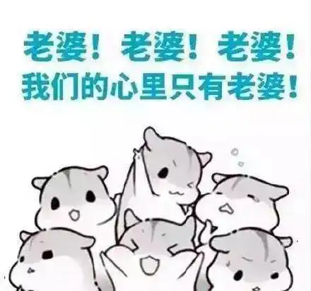 婚后,女人得到什么,又失去什么

