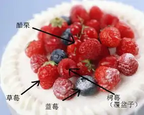 请问这里除了草莓,樱桃,蓝莓以外,剩下的那种水果叫什么
