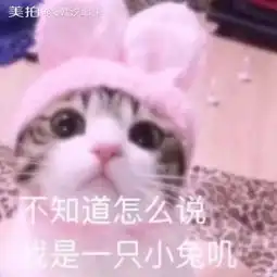 韩汐耶.的美拍