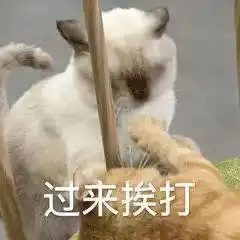 爱情公寓5怀孕不能养宠物钟南山孕妇越早养越好
