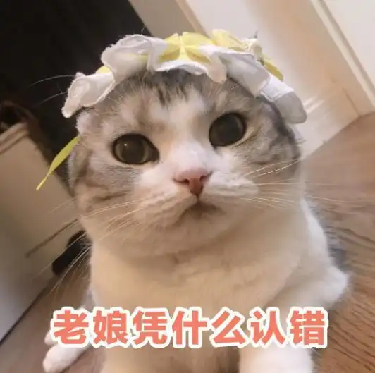 猫咪犯错后,这5种行为是在向宠主道歉,你就原谅它吧
