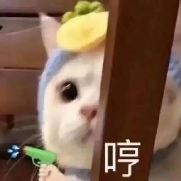 沙雕表情包我只是一个老实人
