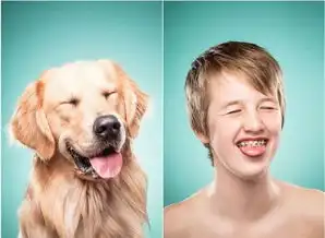 宠物主人模仿爱犬表情照萌翻众人
