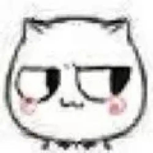 猥琐猫表情系列,猥琐中带点萌
