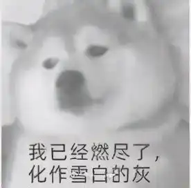 哔哩哔哩专栏
