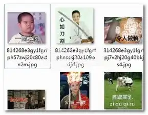 四字成语表情包四字成语qq表情大全去广告版软件下载