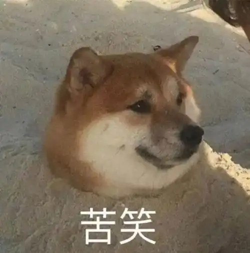 家养宠物的注意成本几元,售价百倍这些进口药竟是三无产品
