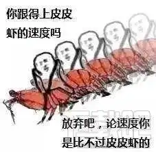 皮皮虾我们走表情包已被网友玩坏,这是个什么梗
